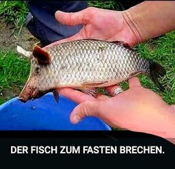 Fisch.jpg