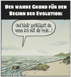 Evolution.jpg